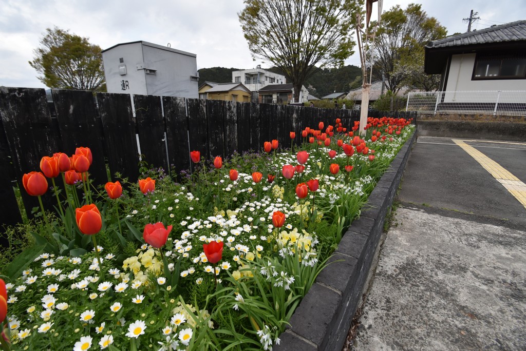 2026.03.30ホーム通路1