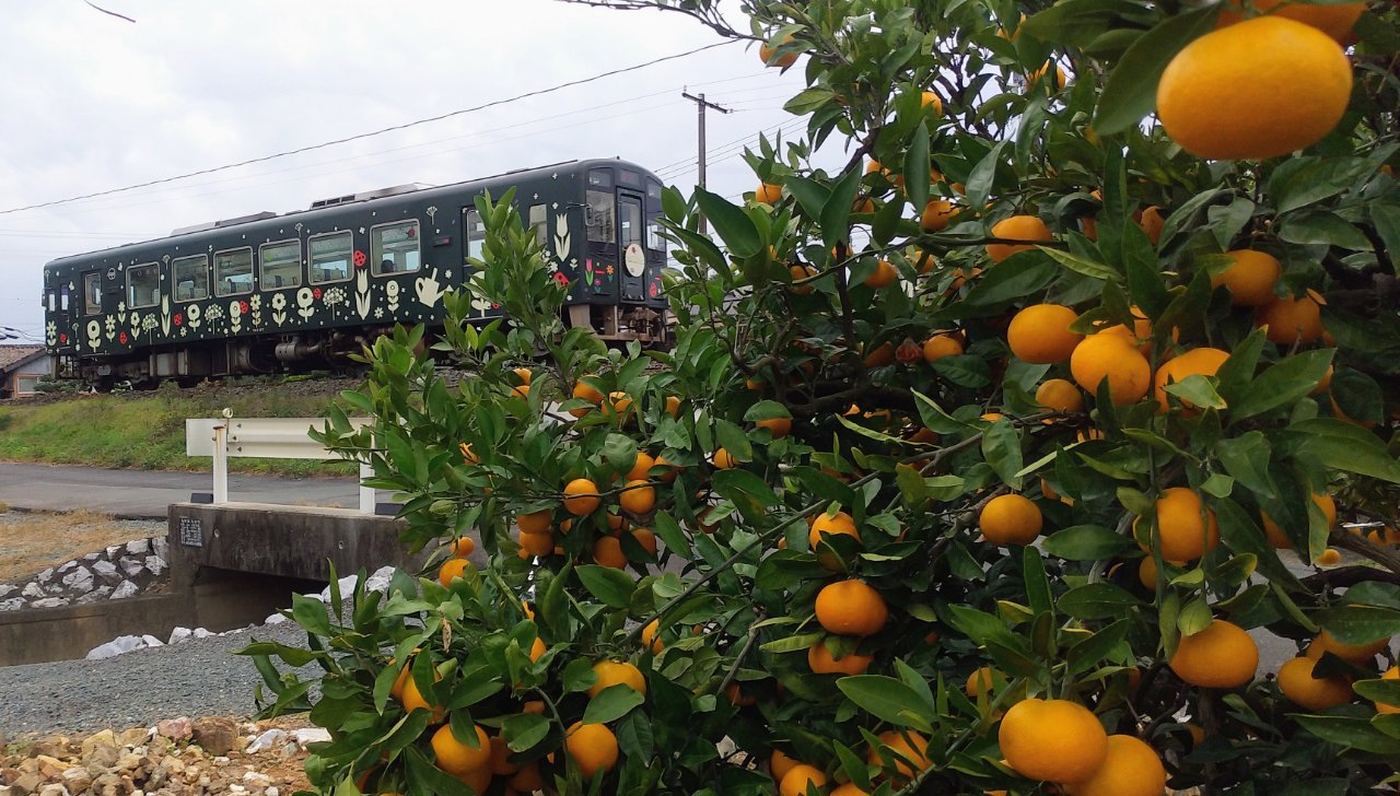 みかん🍊の里奥浜名湖の駅にて❗ – 天浜線（天竜浜名湖鉄道株式会社
