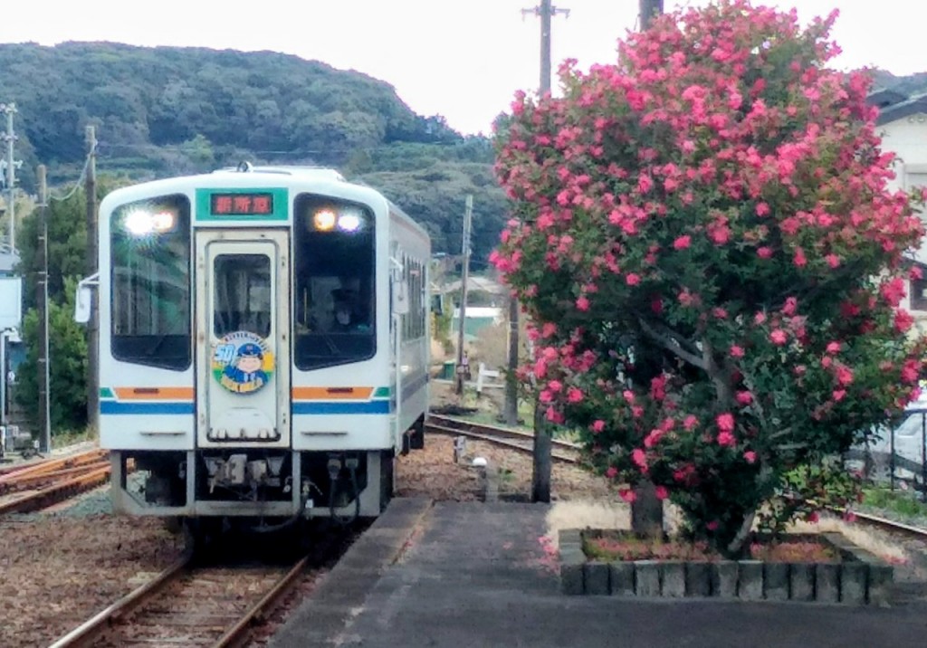 20260120023905_p_001