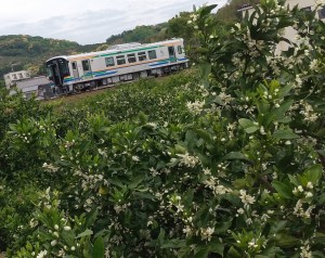 20260425003231_p_001