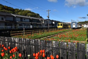 2026.04.02通路花壇2