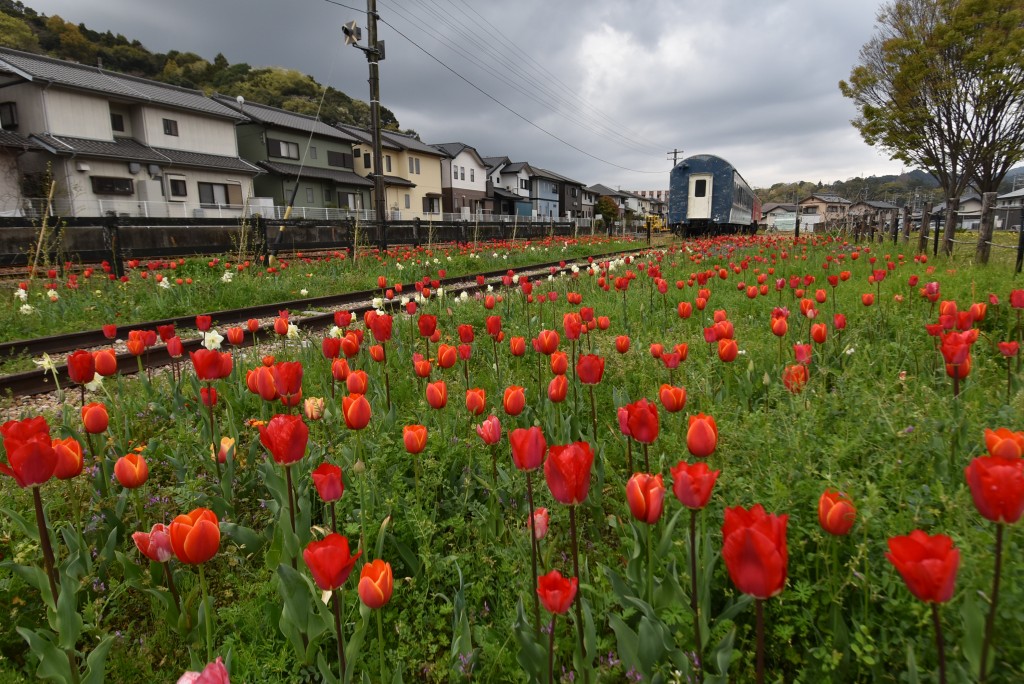 2026.03.030ペレ二アルガーデン1