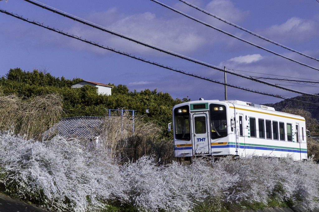 2026.03.15奥浜名湖1