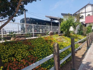 2026.07.30新所原駅1