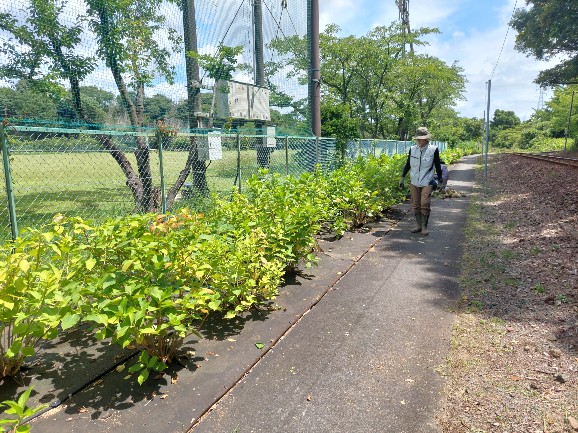2026.07.11アスモ前駅1