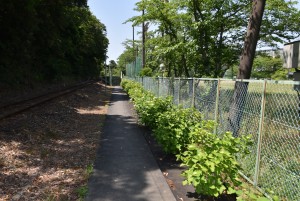 2026.05.18アスモ前駅1