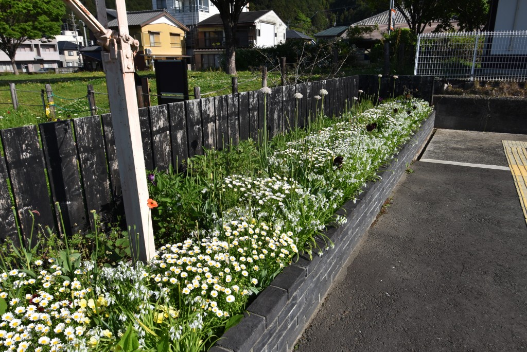 2026.04.14ホーム通路2