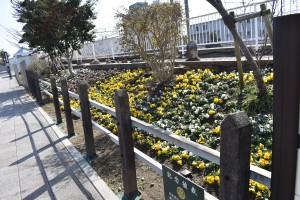 2026.02.13新所原駅2