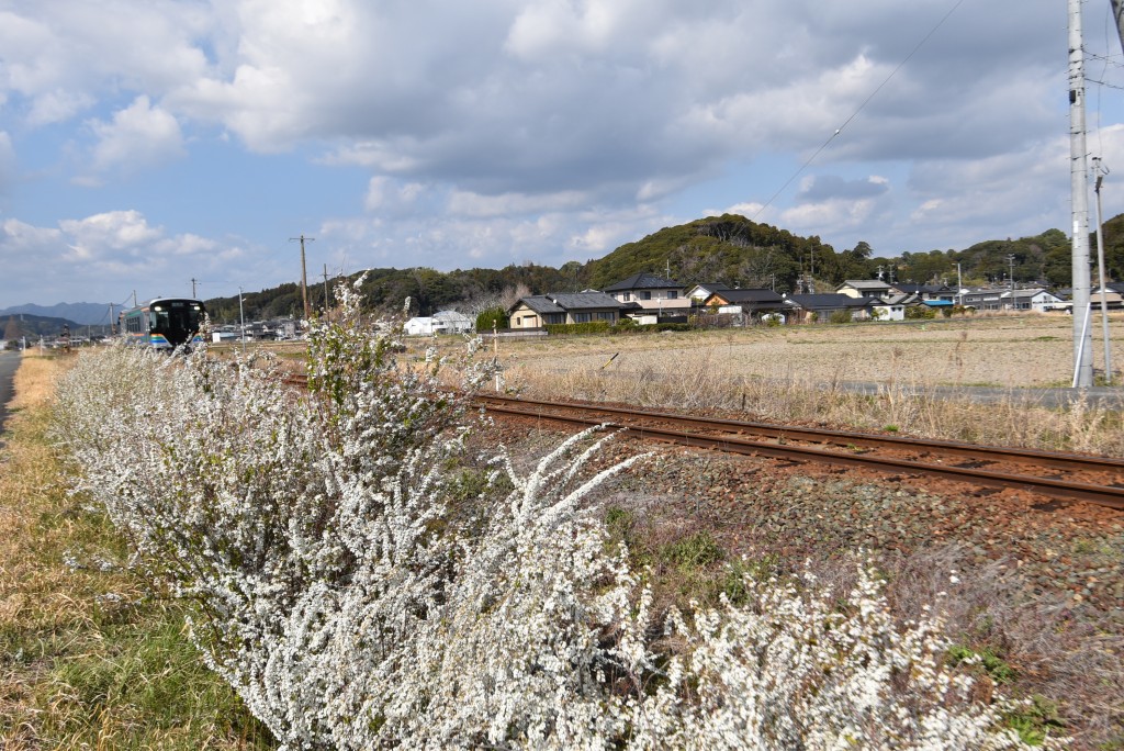 2026.03.17細谷駅4
