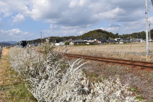 2026.03.17細谷駅4