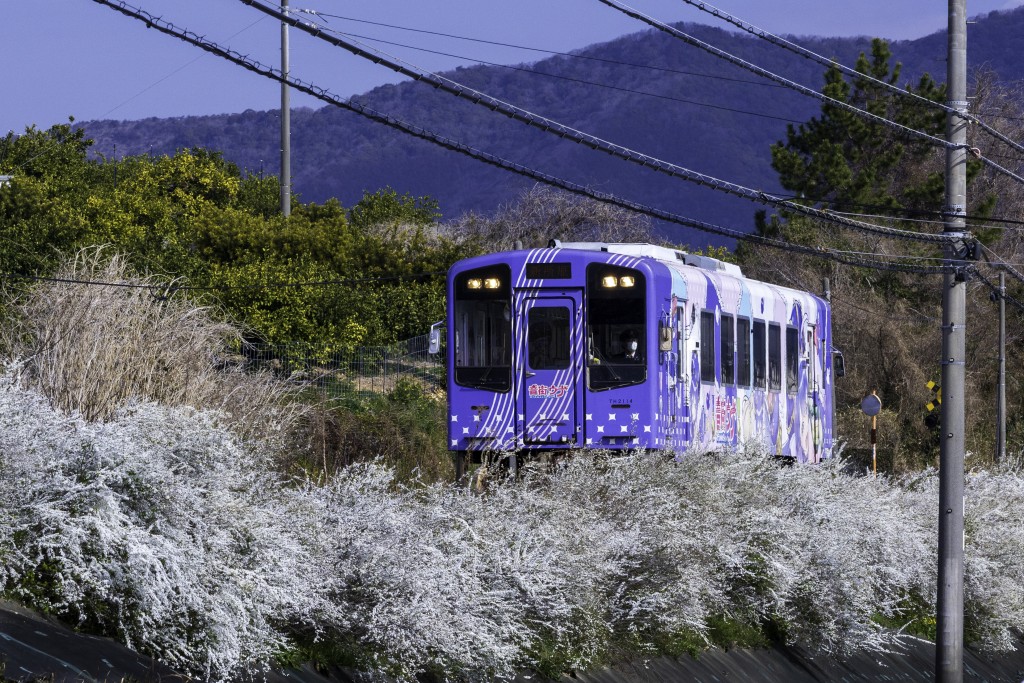 2026.03.15奥浜名湖3