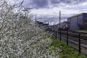 2026.03.15金指駅3