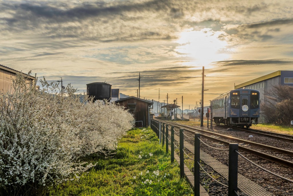 2026.03.15金指駅7