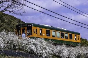 2026.03.15奥浜名湖2