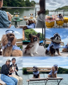 image0①