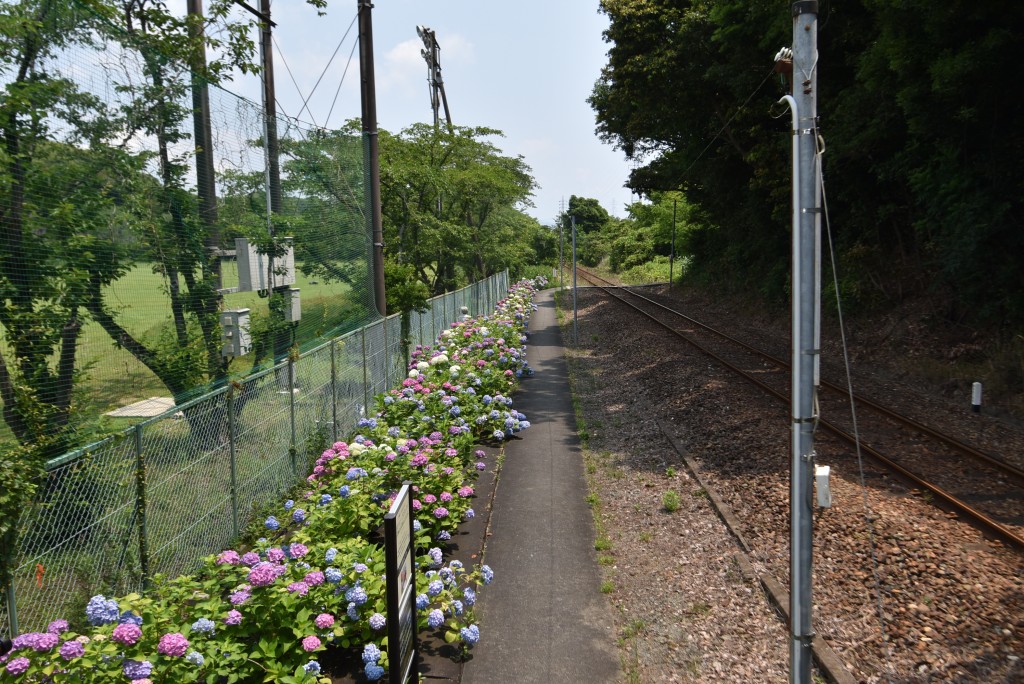 2026.06.12アスモ前駅3