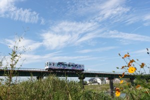 DSC01790_compressed