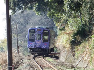 DSCF4247