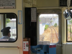 IMG_1952