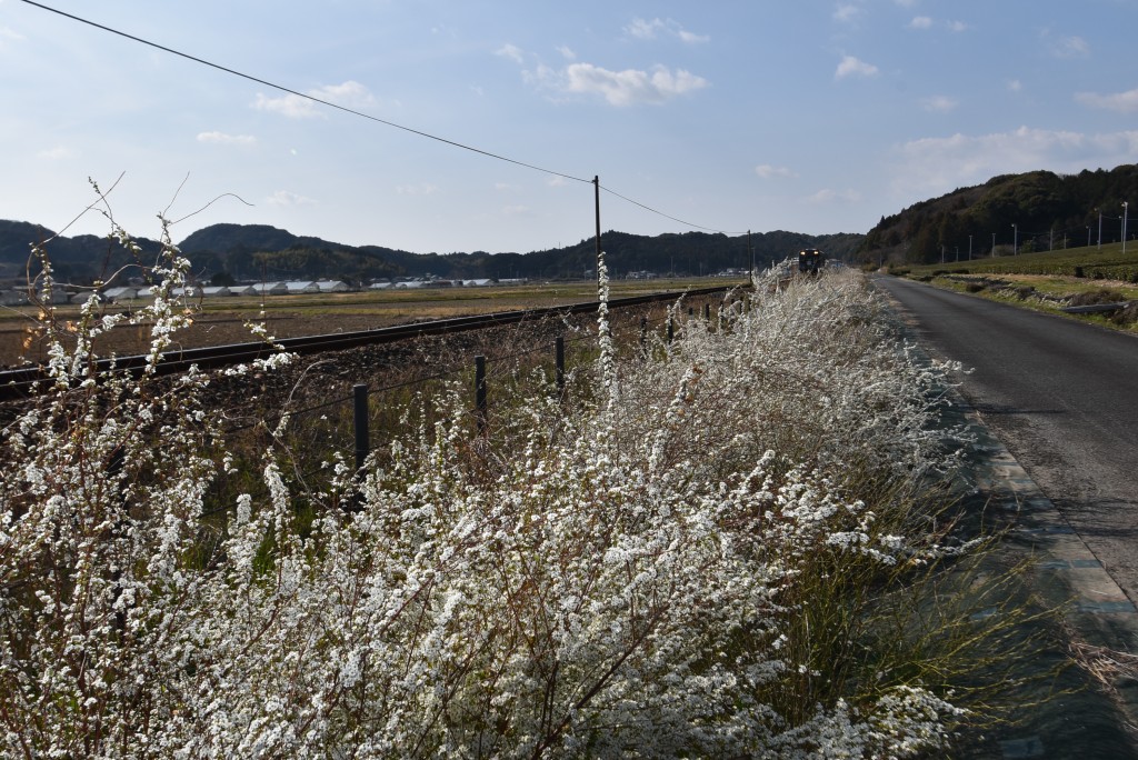 2026.03.17山田地区2