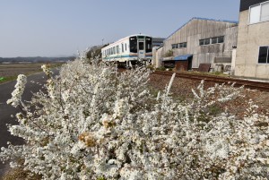 2025.03.25細谷駅3