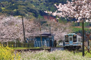 てんはま 35／39 尾奈駅