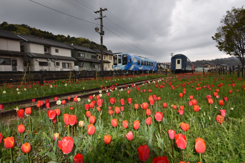 2026.03.30ペレ二アルガーデン3