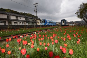 2026.03.30ペレ二アルガーデン3