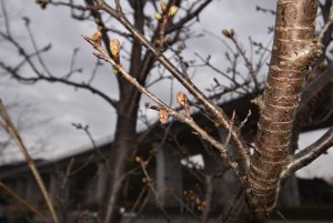 2026.02.24敷地駅5