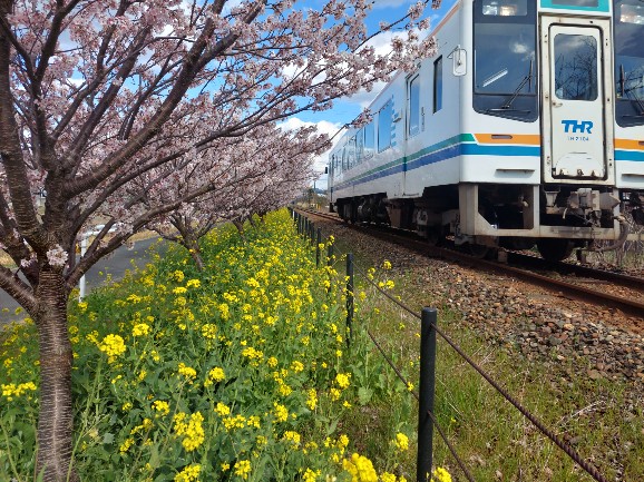 2026.03.10岩水寺駅～宮口駅間1