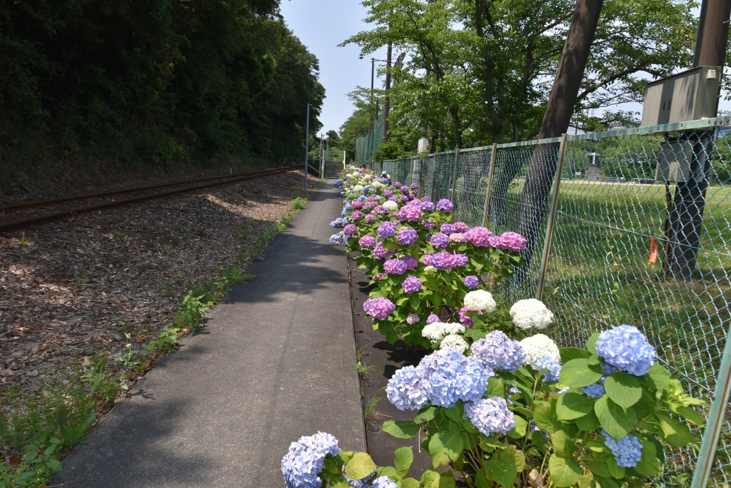 2026.06.12アスモ前駅1 (1)