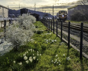2026.03.15金指駅9