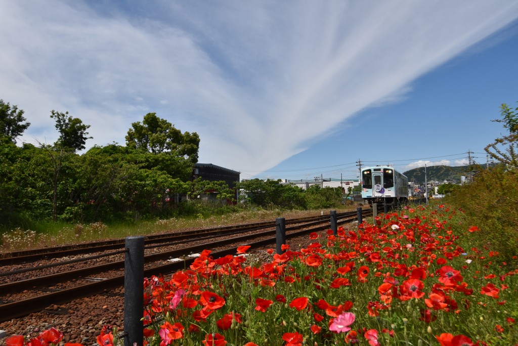 2026.05.07金指駅4