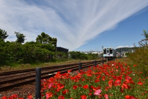 2026.05.07金指駅4