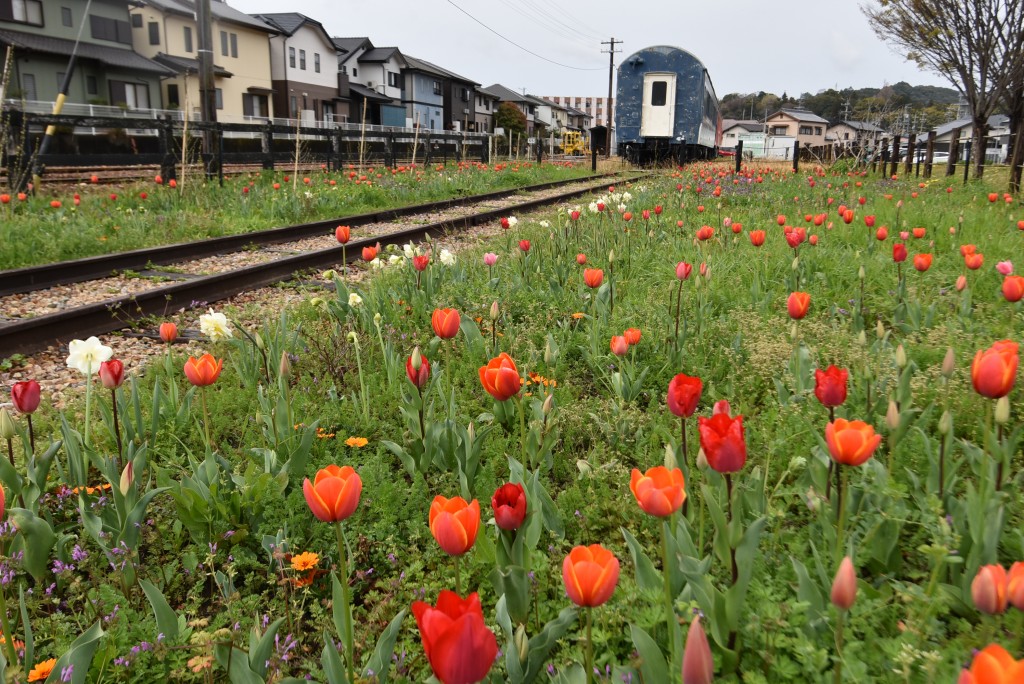 2026.03.26ペレ二アルガーデン1