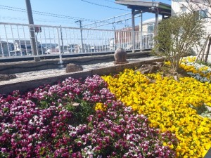 2026.03.12新所原6