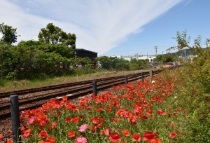 2026.05.07金指駅1