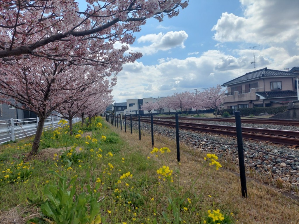 2026.03.16豊岡駅7