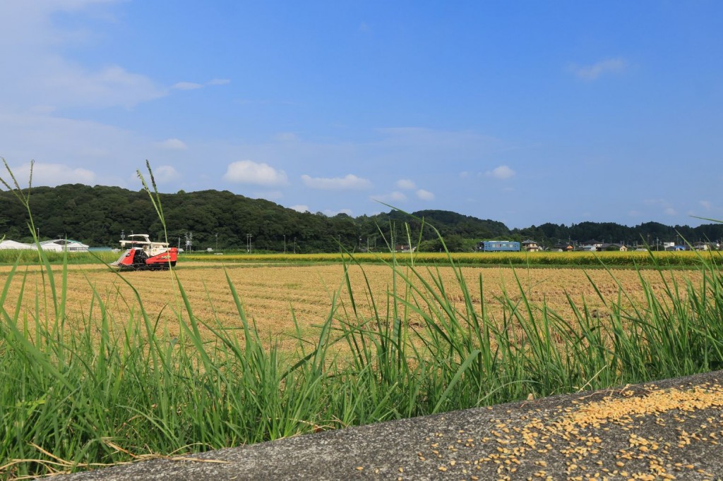 mini_094A1369