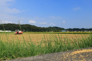 mini_094A1369