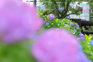 mini_094A6404_Nn